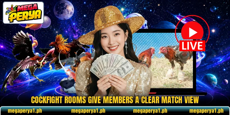 Cockfight rooms give members a clear match view Cockfight rooms give members a clear match view